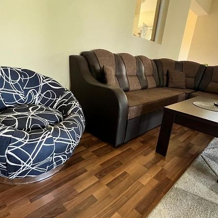 Casa Vio Villa Timisoara Ngoại thất bức ảnh