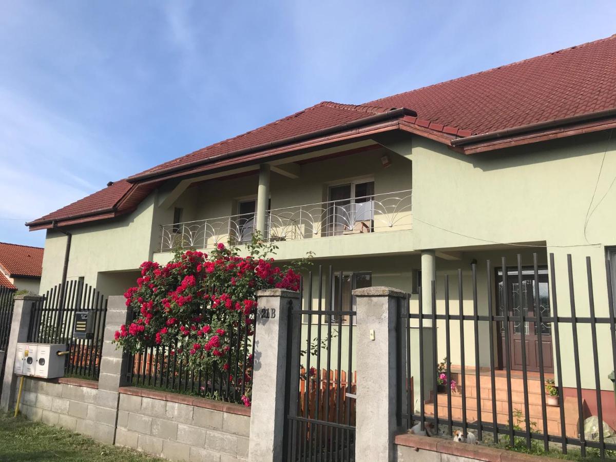 Casa Vio Villa Timisoara Ngoại thất bức ảnh