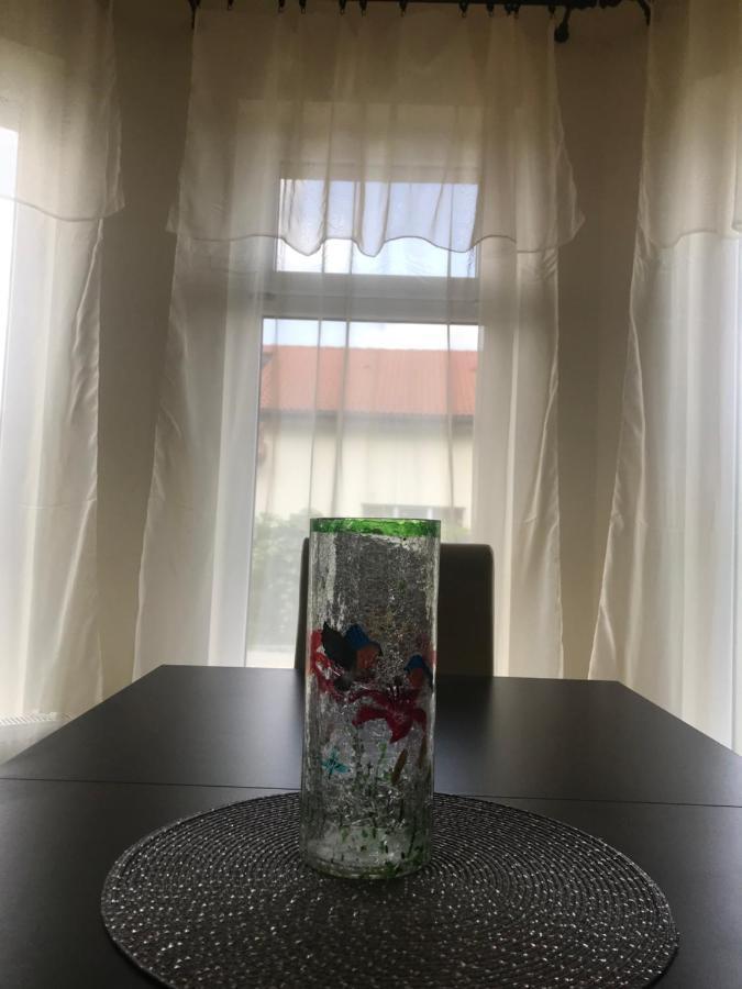 Casa Vio Villa Timisoara Ngoại thất bức ảnh