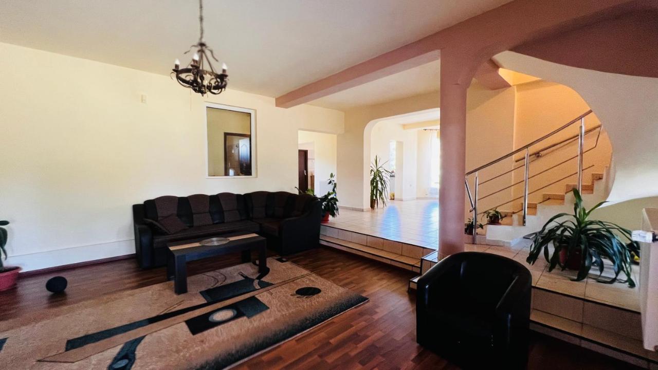 Casa Vio Villa Timisoara Ngoại thất bức ảnh