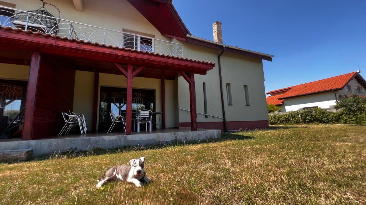 Casa Vio Villa Timisoara Ngoại thất bức ảnh