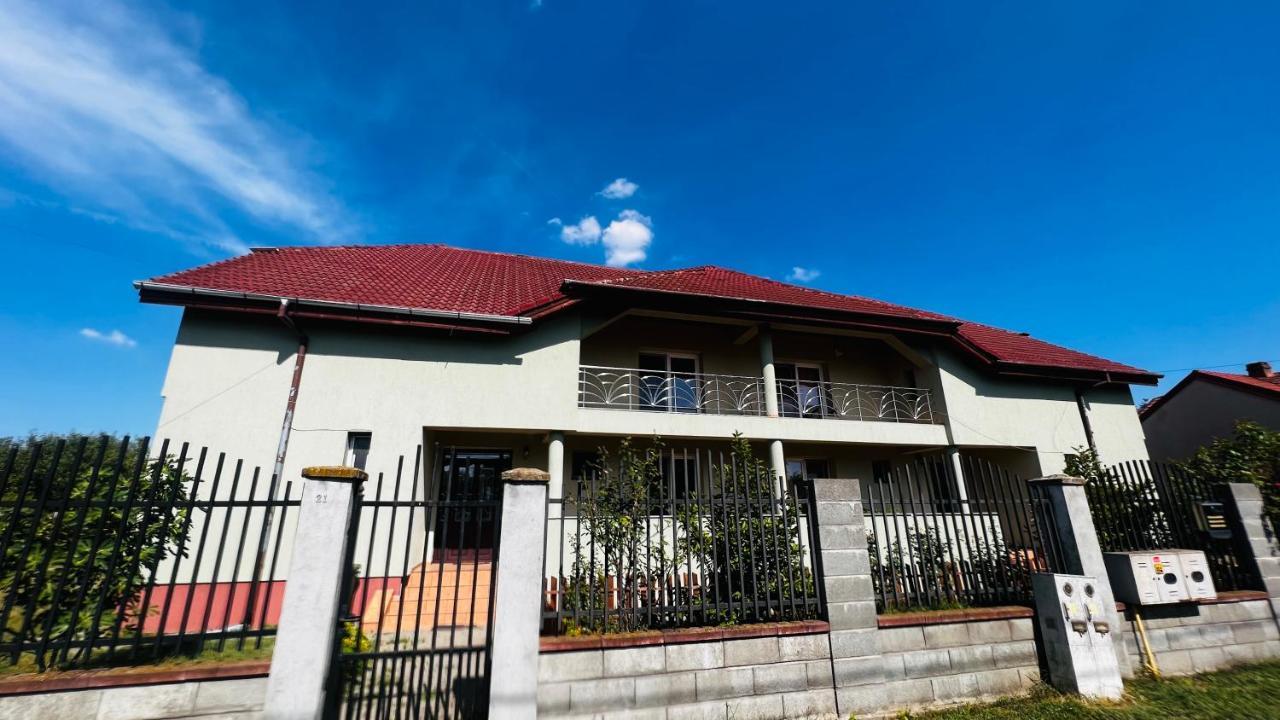 Casa Vio Villa Timisoara Ngoại thất bức ảnh