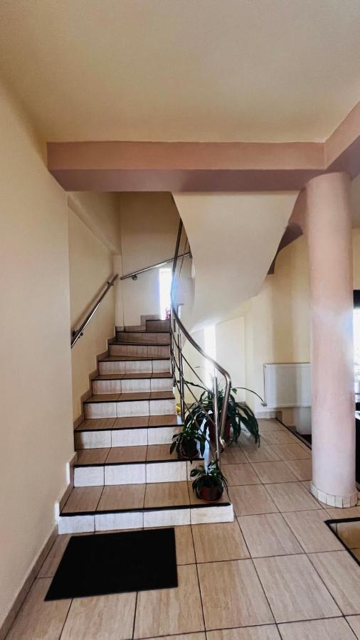 Casa Vio Villa Timisoara Ngoại thất bức ảnh
