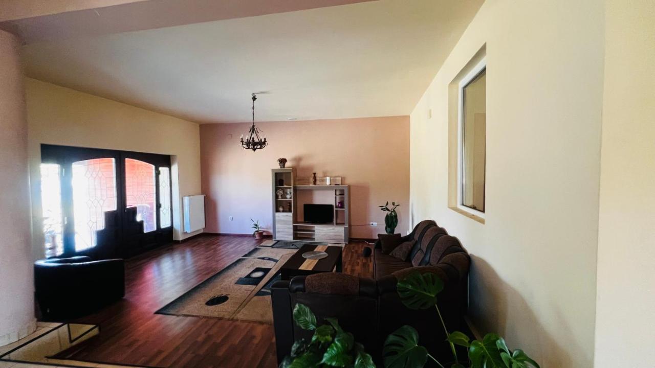 Casa Vio Villa Timisoara Ngoại thất bức ảnh
