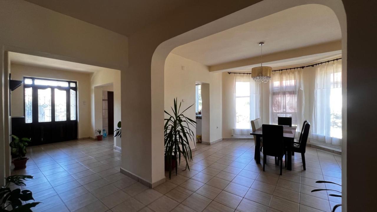 Casa Vio Villa Timisoara Ngoại thất bức ảnh