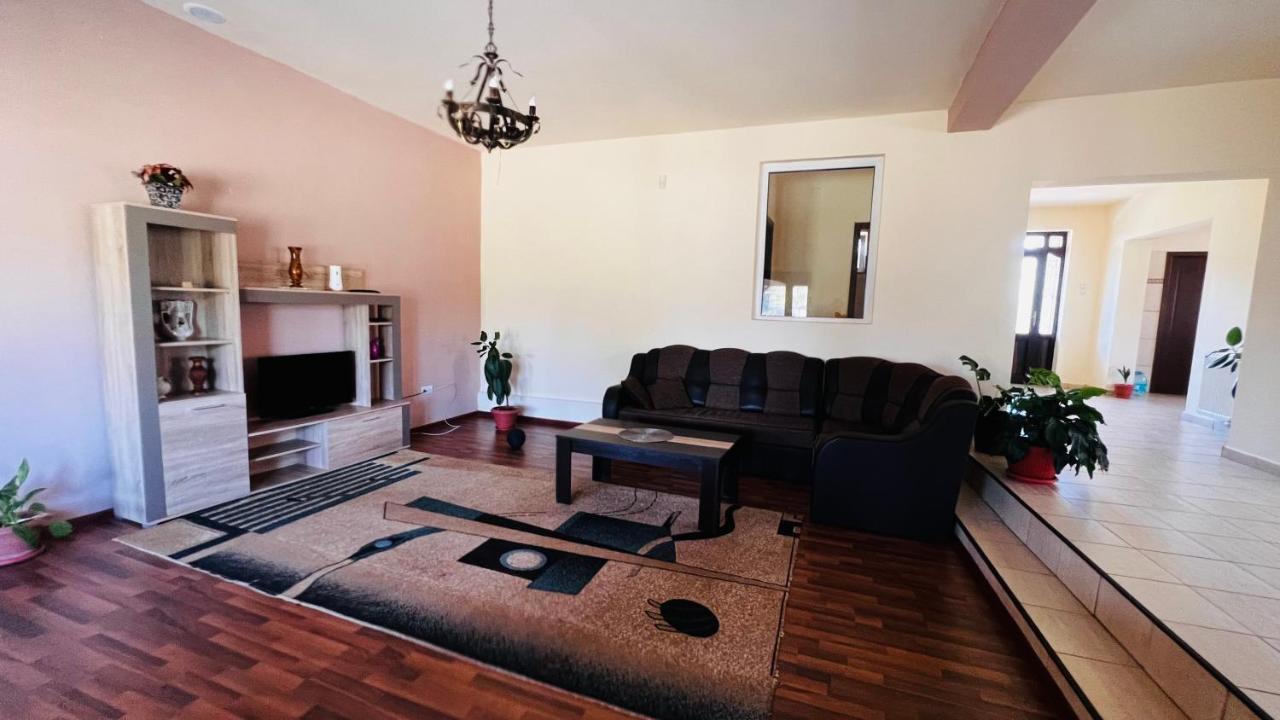 Casa Vio Villa Timisoara Ngoại thất bức ảnh