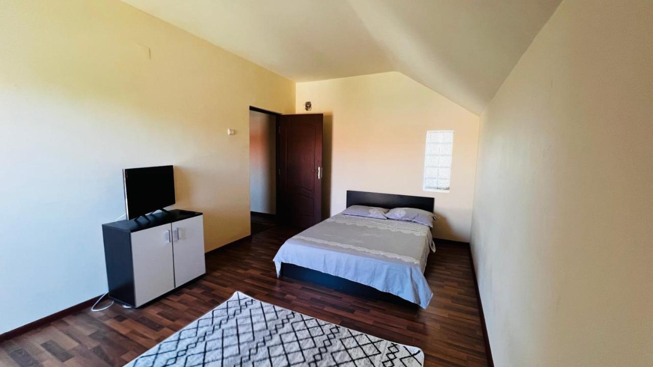 Casa Vio Villa Timisoara Ngoại thất bức ảnh