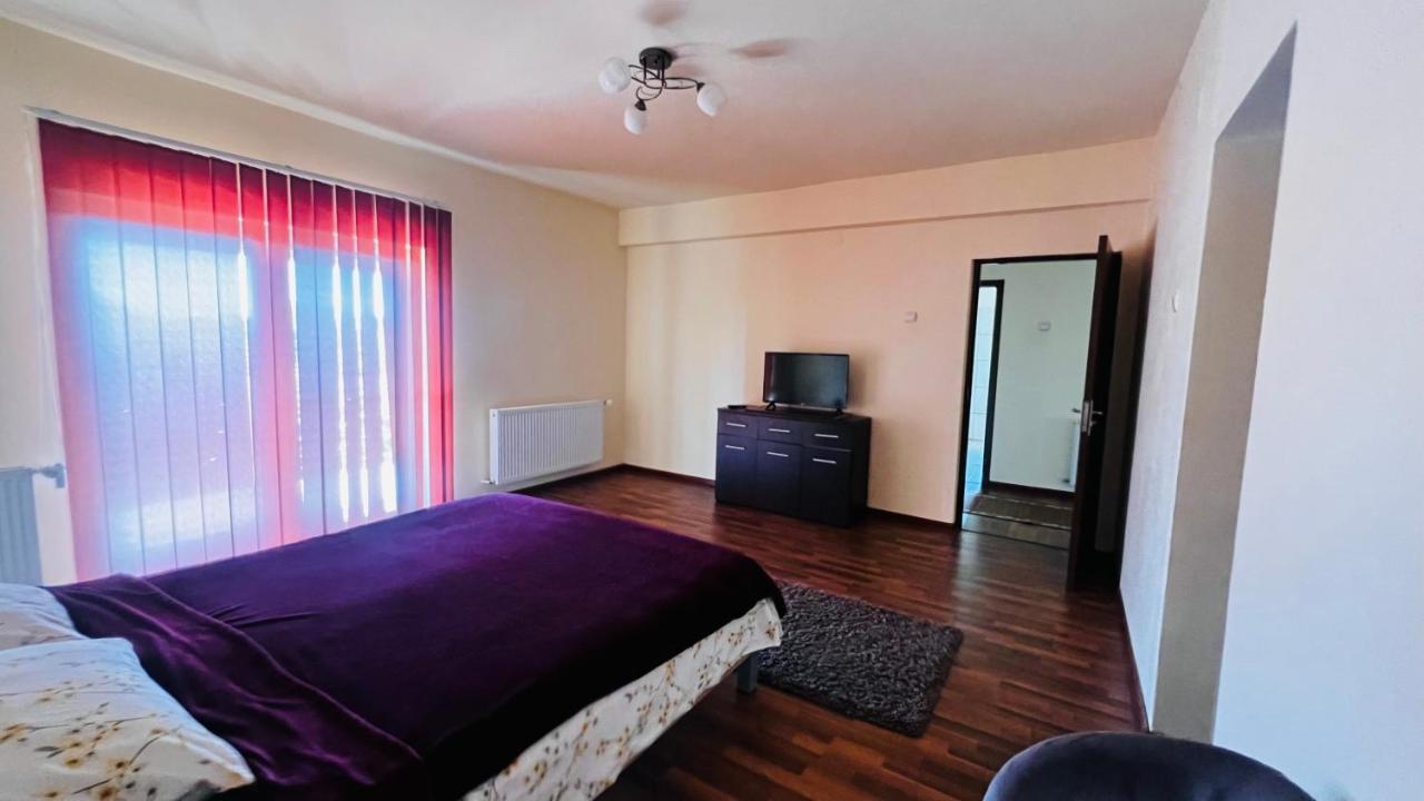Casa Vio Villa Timisoara Ngoại thất bức ảnh