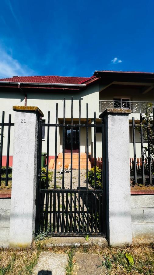 Casa Vio Villa Timisoara Ngoại thất bức ảnh