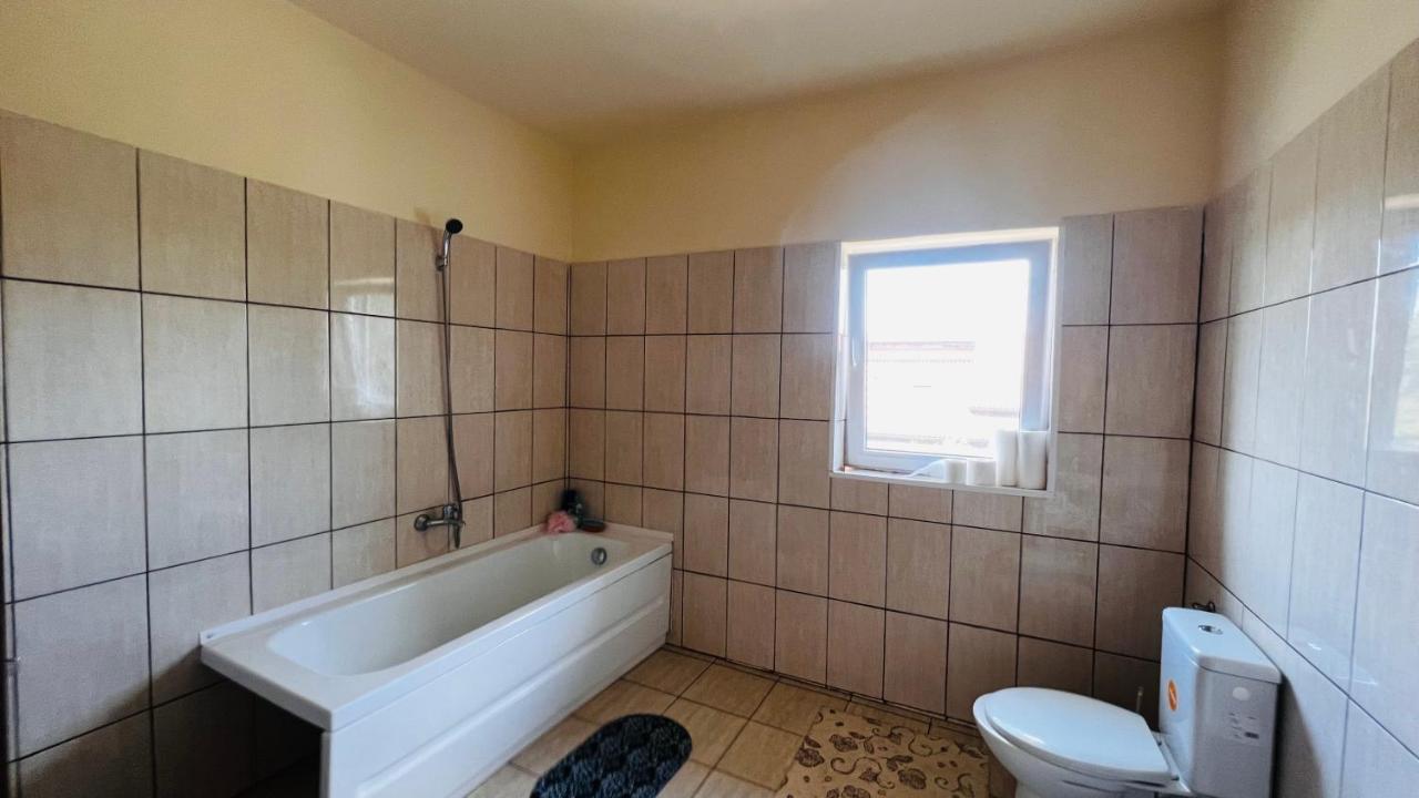 Casa Vio Villa Timisoara Ngoại thất bức ảnh