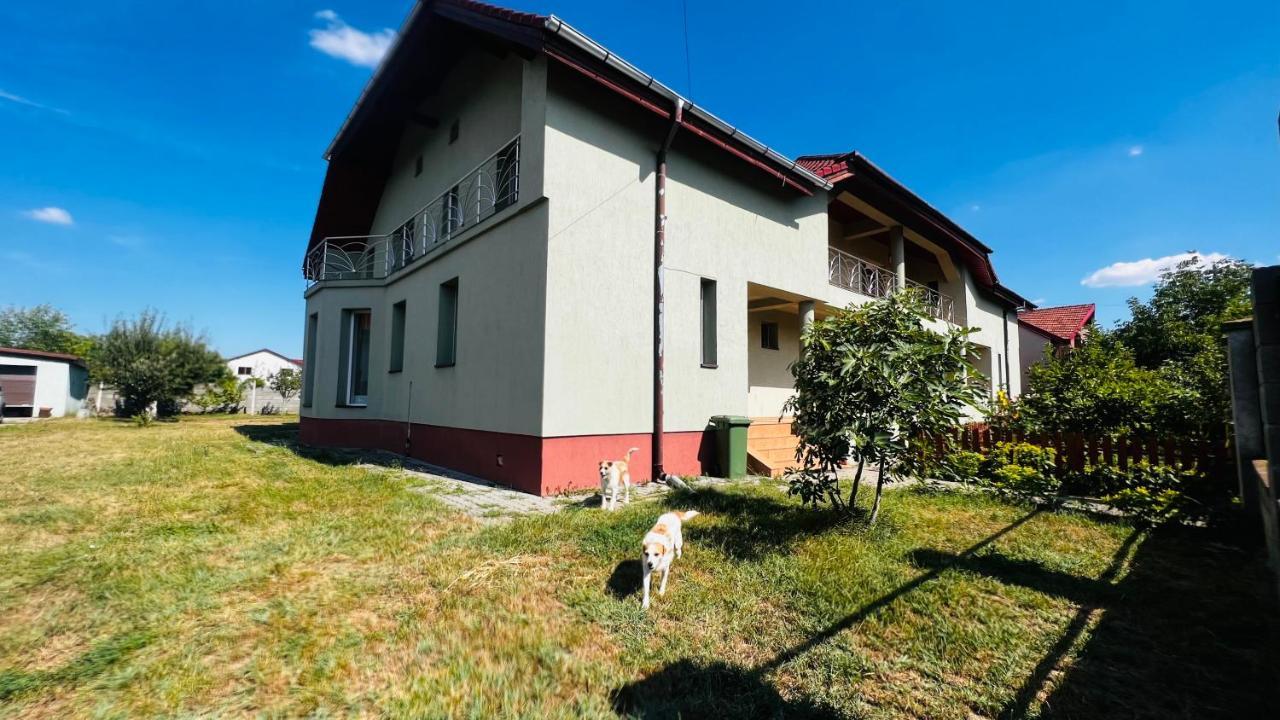 Casa Vio Villa Timisoara Ngoại thất bức ảnh
