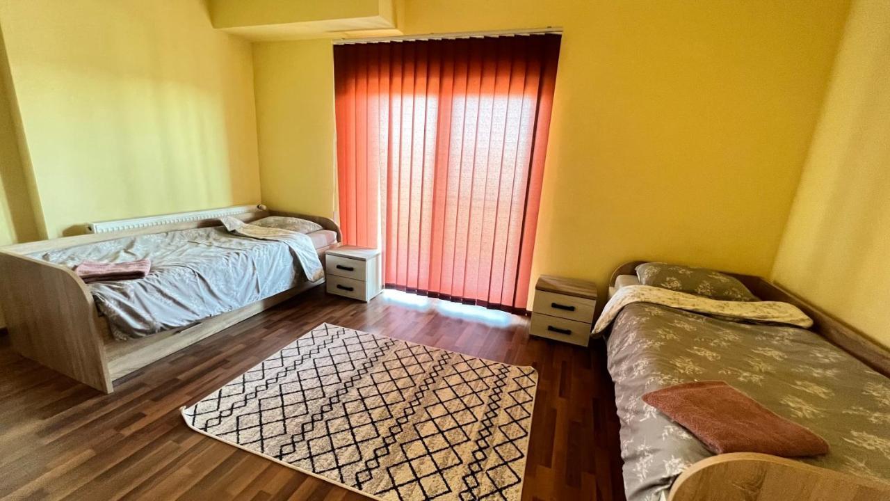 Casa Vio Villa Timisoara Ngoại thất bức ảnh